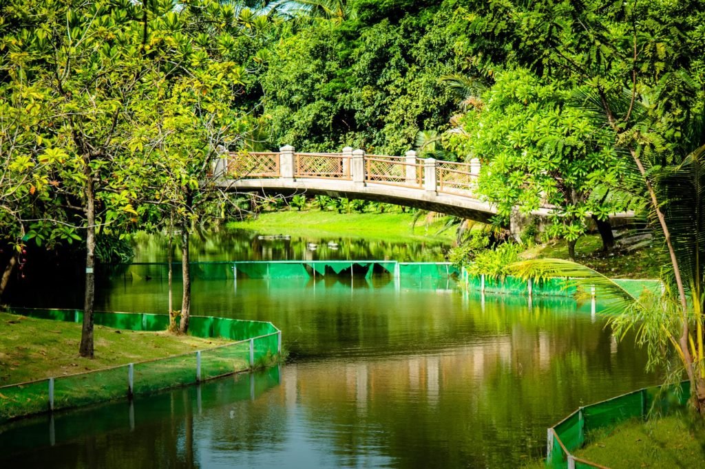 Rajesh Kumar Photography - A Walk in the Park Photo Walk - Queen Sirikit Park