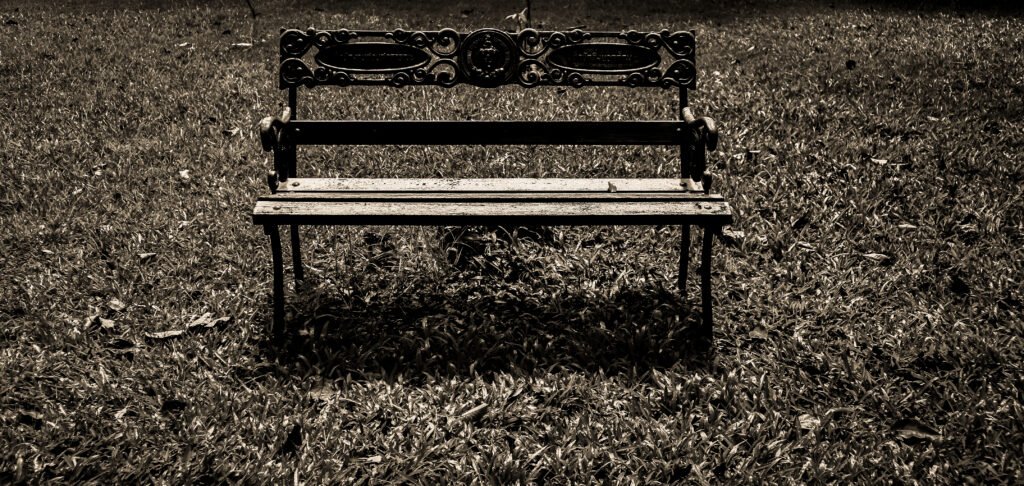 Empty Bench in Park